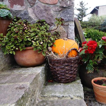 Pokoje Goscinne "Tak Lubisz" Gardna Wielka Exterior foto