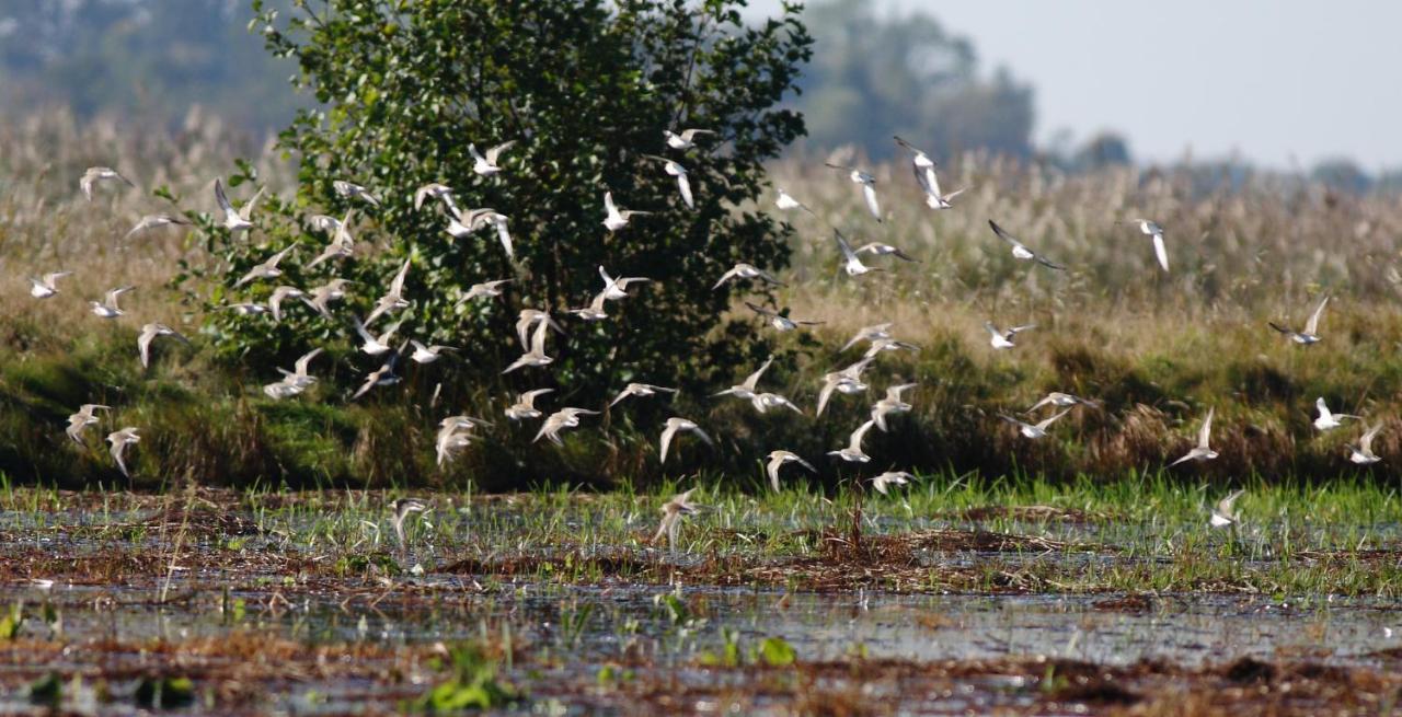 Pokoje Goscinne "Tak Lubisz" Gardna Wielka Exterior foto